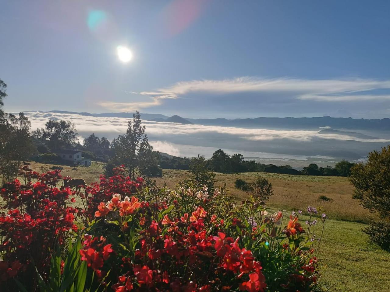 Glamping Hermoso Amanecer Guatavita ภายนอก รูปภาพ