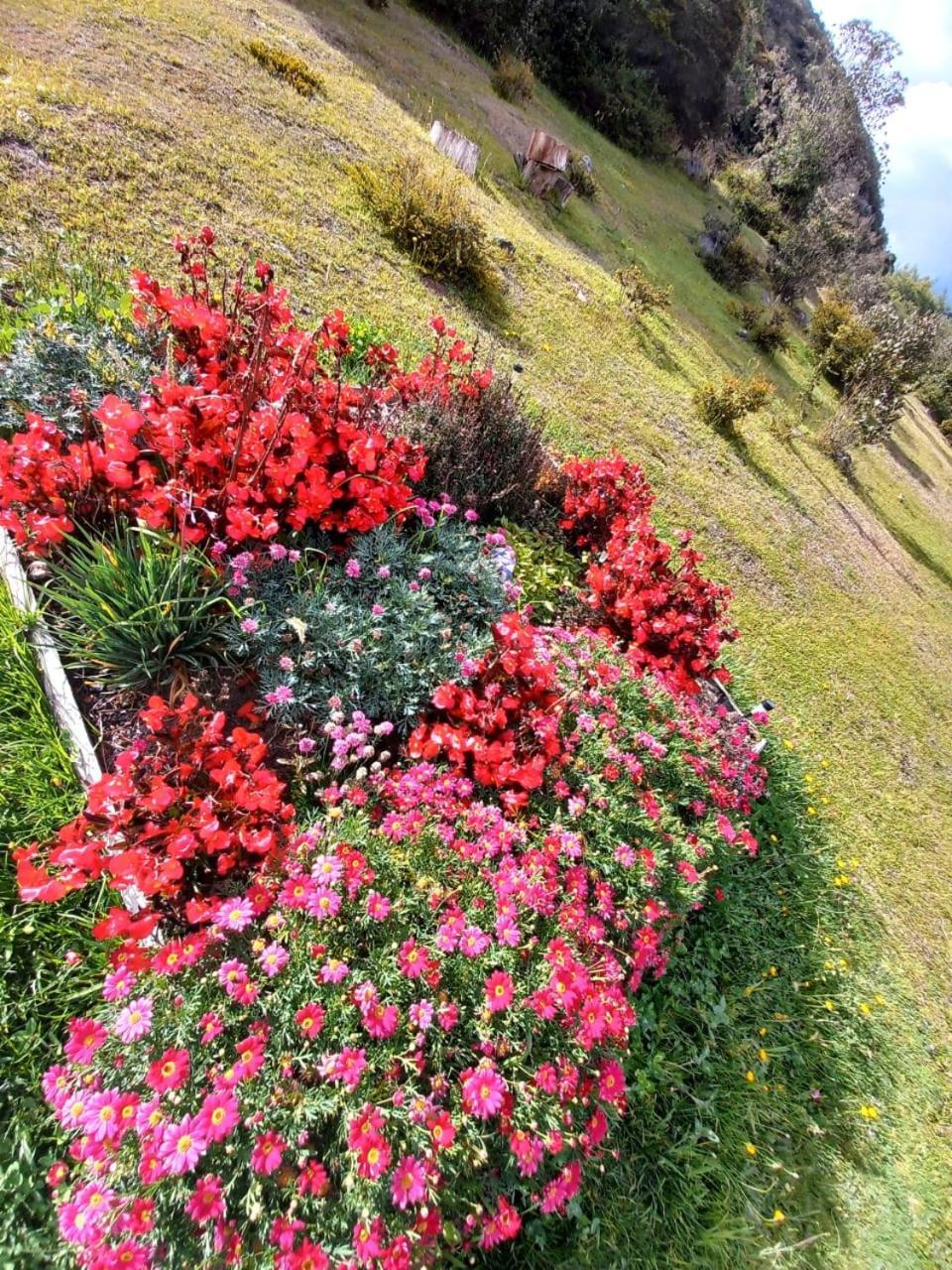 Glamping Hermoso Amanecer Guatavita ภายนอก รูปภาพ
